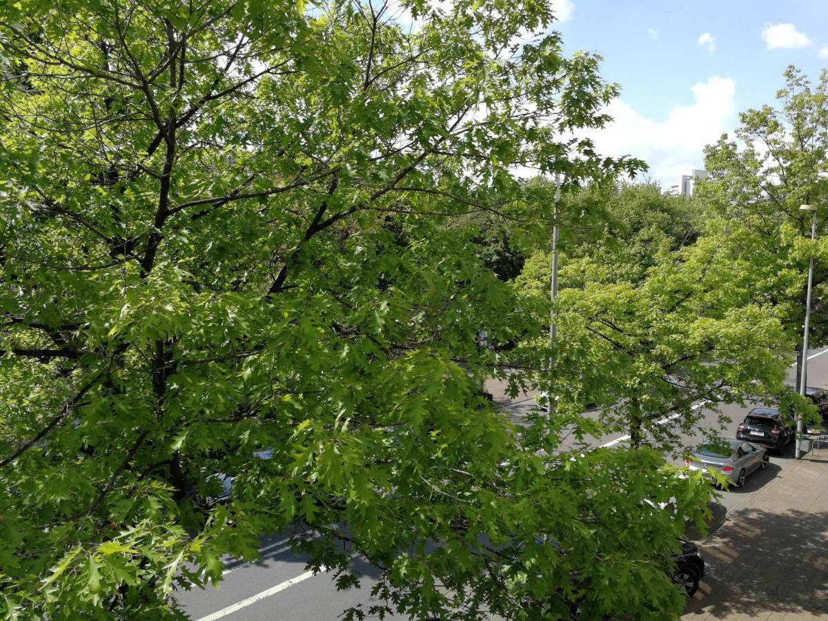 2-Zimmer Apartment Sofia, Gemuetlich Wie Zu Hause Offenbach am Main Eksteriør bilde